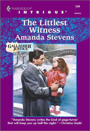Cover of the book THE LITTLEST WITNESS by Paula Graves, HelenKay Dimon, Rebecca York