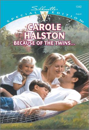 Book cover of BECAUSE OF THE TWINS...