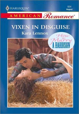 Cover of the book Vixen in Disguise by Christine Rimmer