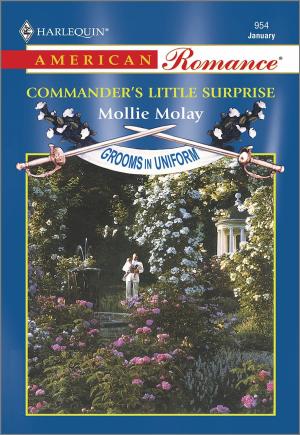 Book cover of COMMANDER'S LITTLE SURPRISE