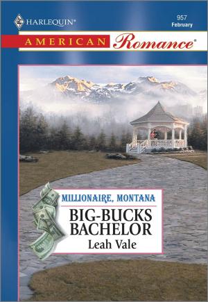 Book cover of BIG-BUCKS BACHELOR