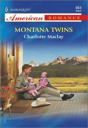 Cover of the book Montana Twins by A.E. Via