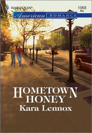 Cover of the book Hometown Honey by Allison van Diepen