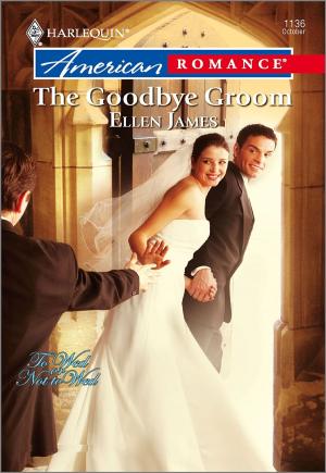 Cover of the book The Goodbye Groom by Diana Hamilton