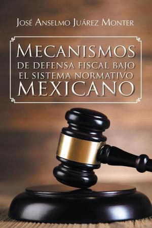 Cover of the book Mecanismos De Defensa Fiscal Bajo El Sistema Normativo Mexicano by Thorsten Kordes