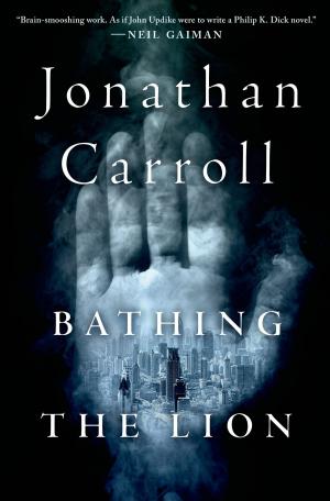 Book cover of Bathing the Lion
