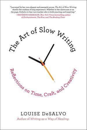 Cover of The Art of Slow Writing