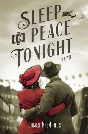 Cover of the book Sleep in Peace Tonight by Carola Dunn