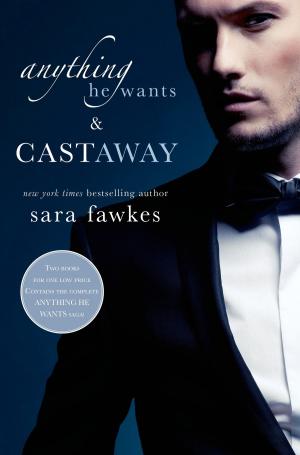 Cover of the book Anything He Wants & Castaway by Laura D. Adams