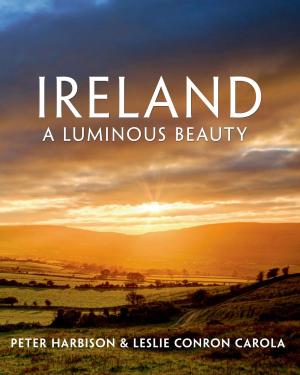 Cover of the book Ireland: A Luminous Beauty by Christina Hoff Sommers, Dr. Sally Satel, M.D.