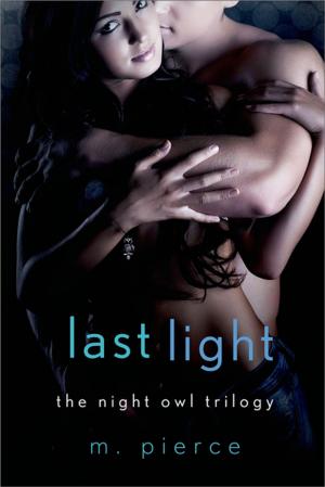 Cover of the book Last Light by Karen Gordon