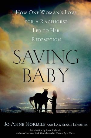 Cover of Saving Baby