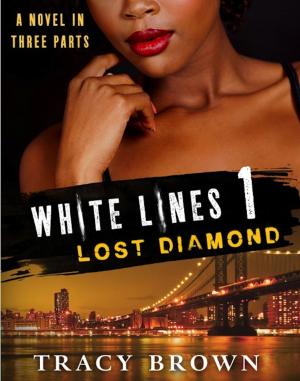 Cover of the book White Lines 1: Lost Diamond by Lorie O'Clare