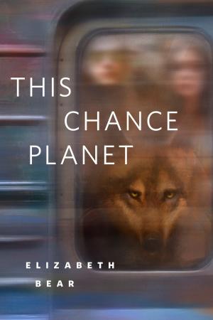 Cover of the book This Chance Planet by Win Blevins