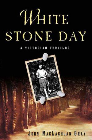 Cover of the book White Stone Day by Melinda Metz, Laura J. Burns