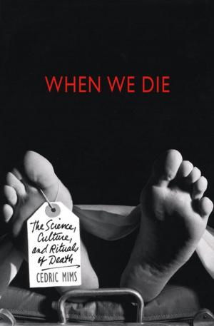 Cover of the book When We Die by Olen Steinhauer