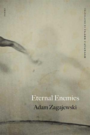 Book cover of Eternal Enemies