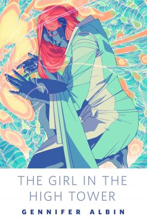 Cover of the book The Girl in the High Tower by Quinn Fawcett
