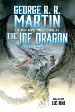 Book cover of The Ice Dragon