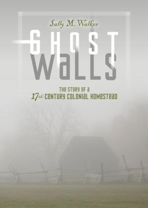 Cover of the book Ghost Walls by Joel Edward Stein