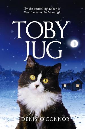 Cover of the book Toby Jug by Gill Hines, Alison Baverstock