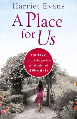 Cover of the book A Place for Us Part 4 by Pamela Evans