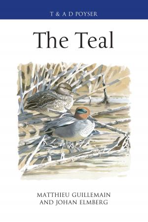 Cover of the book The Teal by Leon McCarron