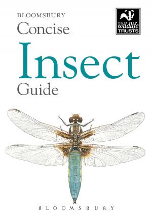 Cover of the book Concise Insect Guide by Dr Colin Brock, Dr Colin Brock