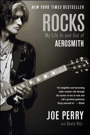 Cover of the book Rocks by Evelyn Bright