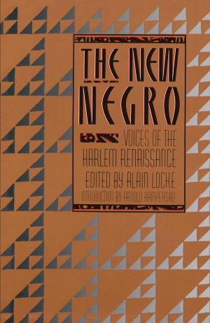 Cover of the book The New Negro by Elina Furman