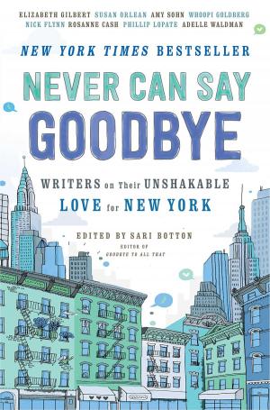 Cover of the book Never Can Say Goodbye by J. J. Abrams, Christina F. York
