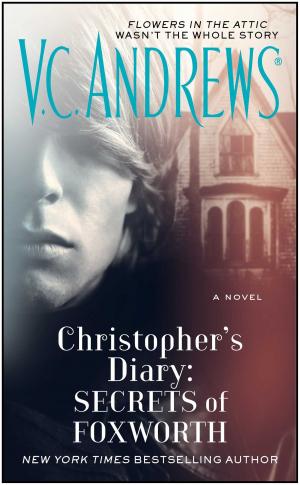 Cover of the book Christopher's Diary: Secrets of Foxworth by Catherine Mulvany