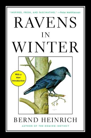 Cover of the book Ravens in Winter by Jonathan Eig
