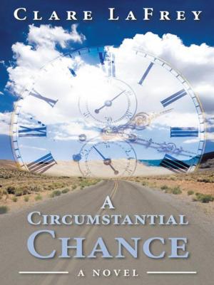 Book cover of A Circumstantial Chance