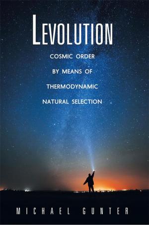 Cover of the book Levolution by Stephen Creskoff