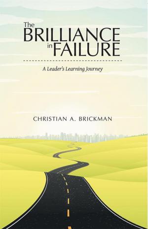 Cover of the book The Brilliance in Failure by Guenter L. Grothe, Kendall B. Krogstad