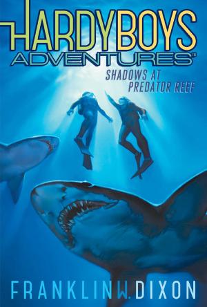 Cover of the book Shadows at Predator Reef by D.J. MacHale