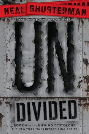 Cover of the book UnDivided by James F. Simon