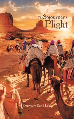 Cover of the book The Sojourner's Plight by Klavs Skovsholm