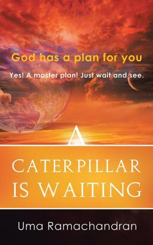 Cover of the book A Caterpillar Is Waiting by Ele Shev