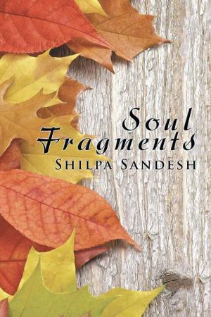 Cover of the book Soul Fragments by P R Patel