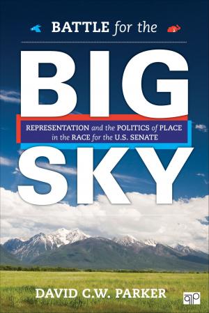 Cover of the book Battle for the Big Sky by Deric Shannon, Dr. Davita Silfen Glasberg