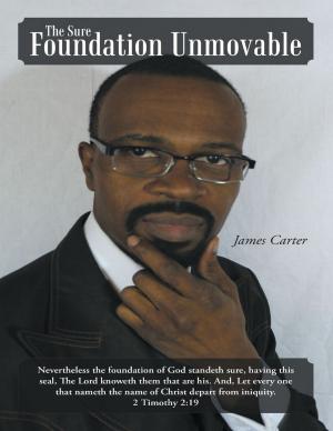 Cover of the book The Sure Foundation Unmovable by Francis Knoll