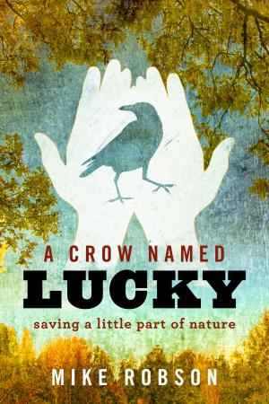 Cover of the book A Crow Named Lucky by Courtney Ayres