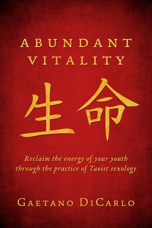 Cover of the book Abundant Vitality by Lori Osachy MSS LCSW