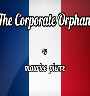Cover of the book The Corporate Orphan by Stuart Gould