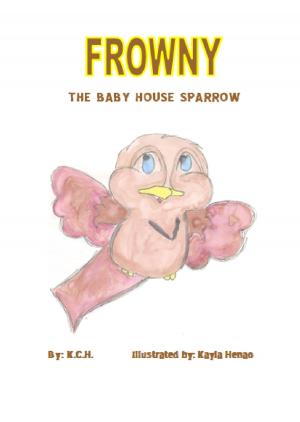 Book cover of Frowny the Baby House Sparrow
