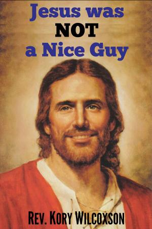Cover of the book Jesus Was Not a Nice Guy by Richard Barnard