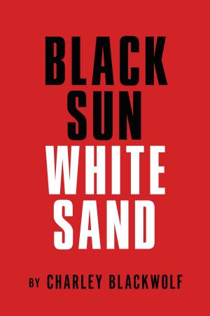 Cover of the book Black Sun - White Sand by Clare Edwards