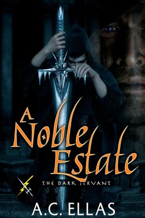 Cover of the book A Noble Estate by Annette Shelley
